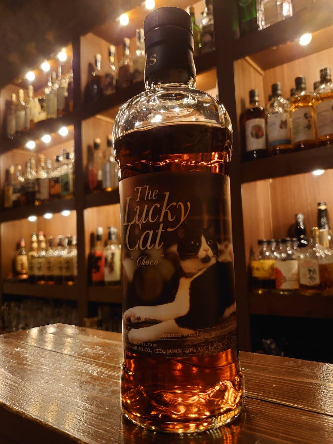 ラッキーキャット チョコ