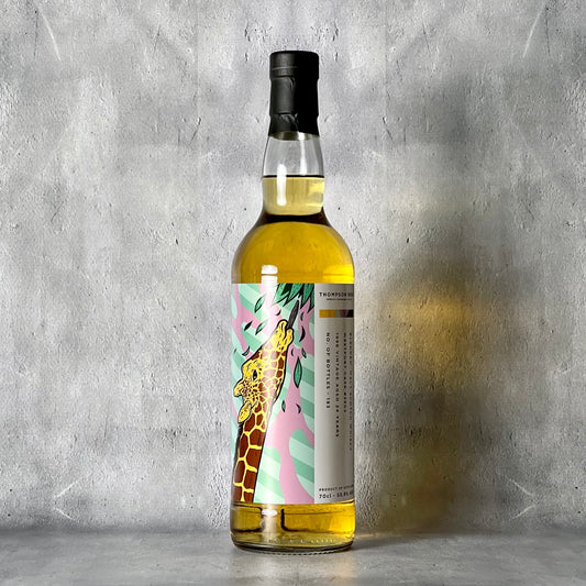 ウエストポート 1996 24年 トンプソンブラザーズ